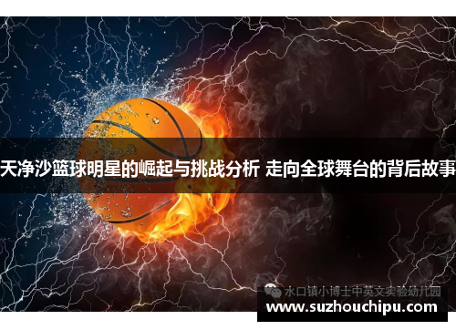 天净沙篮球明星的崛起与挑战分析 走向全球舞台的背后故事